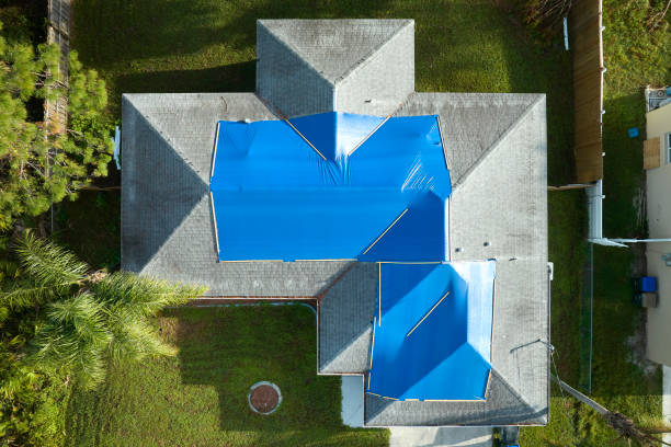 Best Asphalt Shingles Roofing  in Kingsford, MI