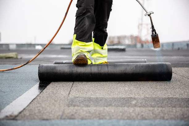 Best Roof Maintenance and Cleaning  in Kingsford, MI